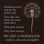 Dawn Donald - @dawnshiel - Instagram
