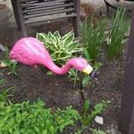 Dawn Donald - @dawn.donald - Instagram