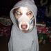 Dawn Doran - Facebook
