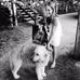 Dawn Doran - Facebook