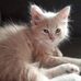 Dawn Dorman - Facebook