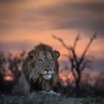 Dawn Dougherty - @doughertydawn - Instagram