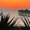 dawndougherty75 - @dawndougherty75 - TikTok