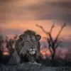 dawndougherty835 - @dawndougherty835 - TikTok