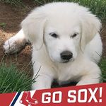 Dawn Dreyer - @dreyer2599 - Instagram