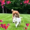 Dawn Condon-Dunbar - @dawn.condondunbar - TikTok