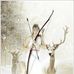 Dawn Dunbar - Facebook