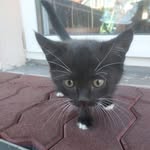 Dawn Dunbar - @diewaldiodistai282 - Instagram