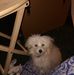 Dawn Dunbar - Facebook