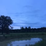 Dawn Durant - @dawn_durant - Instagram