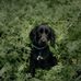 Dawn Dutton Photography - Facebook
