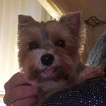 Dawn Dye - @dawnjuliedye - Instagram