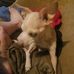 Dawn Dyer - Facebook