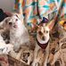Dawn Dyer - Facebook