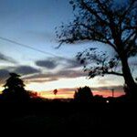 Dawn Eckert - @eckertdawn - Instagram