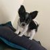 Dawn Edelen - Facebook