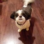 Dawn Edens - @dawn.edens.9 - Instagram