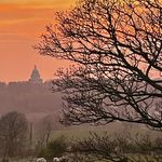 Dawn Edmondson - @edmondsondawn - Instagram
