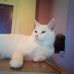 Dawn Edmondson - Facebook