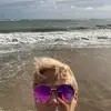 Dawn Eldridge302 - @dawneldridge302 - TikTok