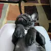 Dawn Emerson - @dawn.emerson - TikTok