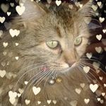 Dawn Etheridge - @dawn.etheridge.167 - Instagram