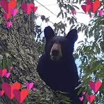 Dawn Etheridge - @dawndy075 - Instagram
