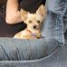 Dawn Ezell - Facebook