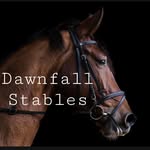Offical account - @dawnfall.stables - Instagram