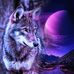 Dawn Fenner - Facebook