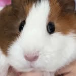 Dawn Field - @dawnfield9622 - Instagram