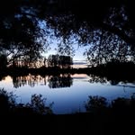 Dawn Floyd - @dawn.floyd.735 - Instagram