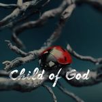Dawn Floyd - @ladybug4226 - Instagram
