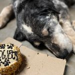 Dawn Forman - @dvforman - Instagram