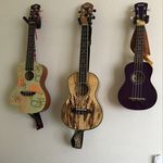 Dawn Forman - @ukedaze - Instagram