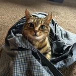 Dawn Forman Johnstone - @dawn.home - Instagram