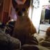 RD Frady - Facebook