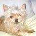 Dawn Frandsen - Facebook