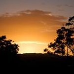Dawn Fraser - @dawn.fraser.33 - Instagram