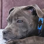 Dawn Freeman - @dawn.freeman76 - Instagram