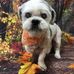 Dawn Freeman - Facebook