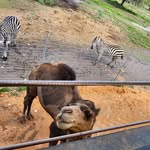 McGraw Gail - @dawnfreedom06 - Instagram