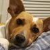 Dawn Fulton - Facebook