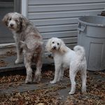 Dawn Fulton - @onerfw - Instagram