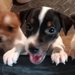 Dawn Fulton-Wilson - @dawnfultonwilson - Instagram
