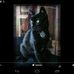 Dawn Gale - Facebook