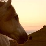 Dawn Gale - @dawn.gale.33 - Instagram