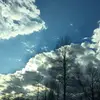 Dawn Gallagher - @dawn.gallagher0 - TikTok