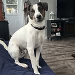 Dawn Gallant - Facebook