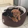 Dawn Gallant - @dawn.gallant - TikTok